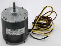 HC38GE231.jpg